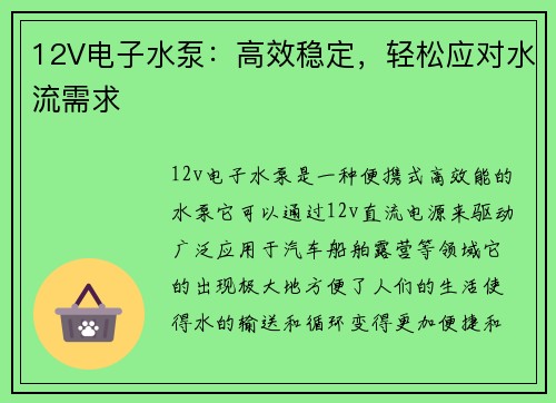 12V电子水泵：高效稳定，轻松应对水流需求